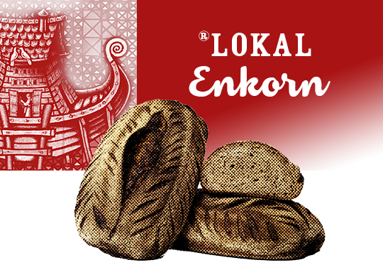 enkorn_big